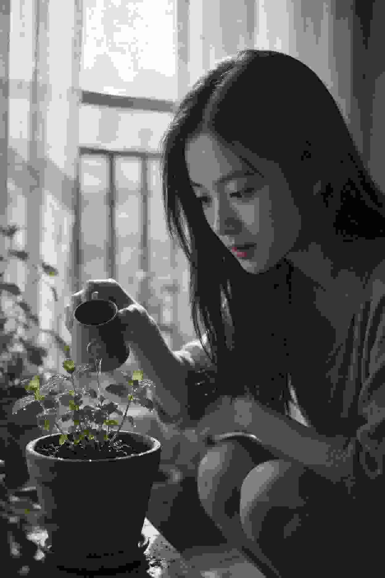 孤独美食家
